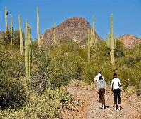 Hampton Inn Tucson-North