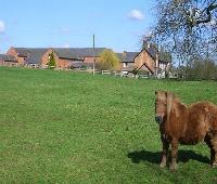 Offley Grove Farm