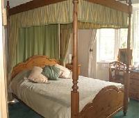 The Elms Guest House