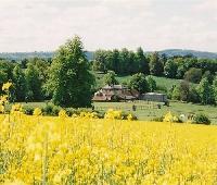 Blounts Court Farm - B&B