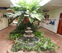 Art Hotel Managua Nicaragua