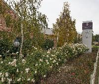 Ballarat Lodge & Convention Centre