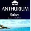 Anthurium Suites