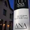 Hotel Ana Inn