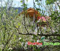 Bharhka Countryside Cottage Resorts