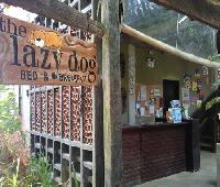 The Lazy Dog Bed and Breakfast