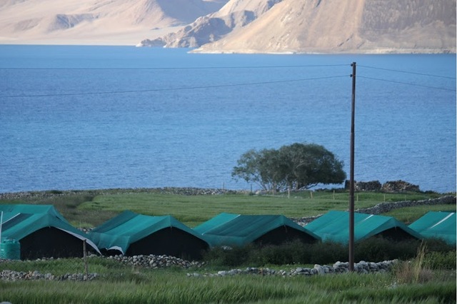 Pangong Delight Camp