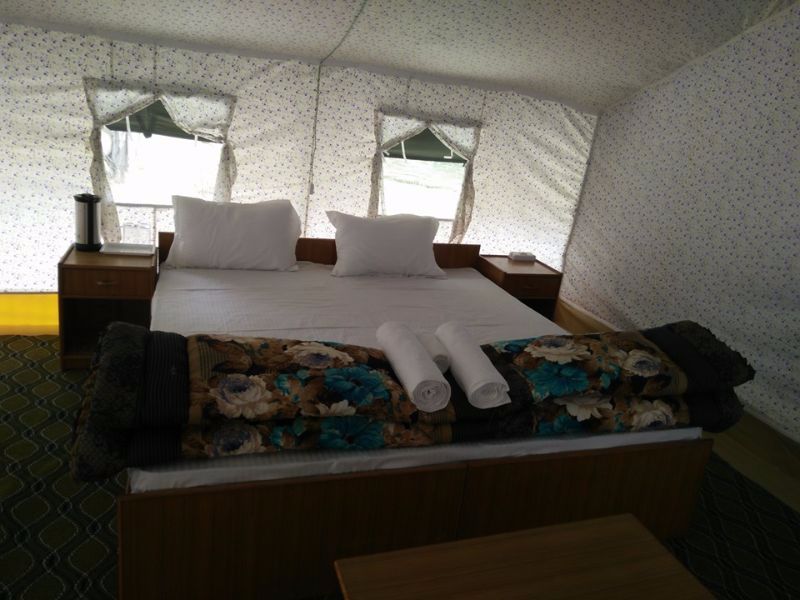Nubra Summer Camp