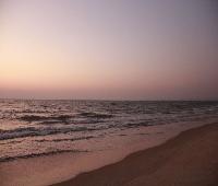 Bollywood Sea Queen