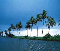 Green Fields Kumarakom